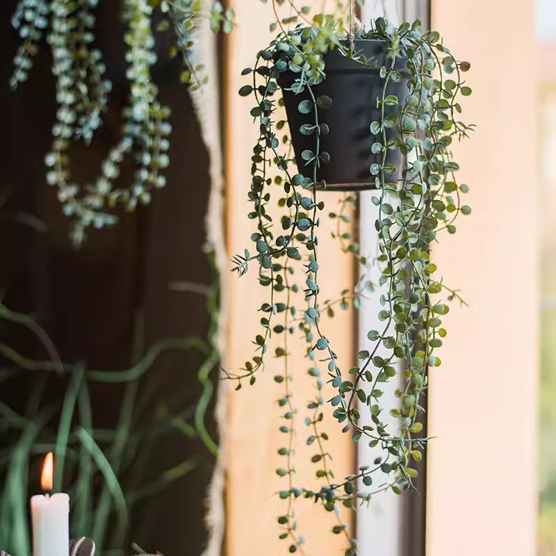 Hanging Faux Ceropegia Vine in a black pot, showcasing lush green leaves and a decorative rope for hanging.