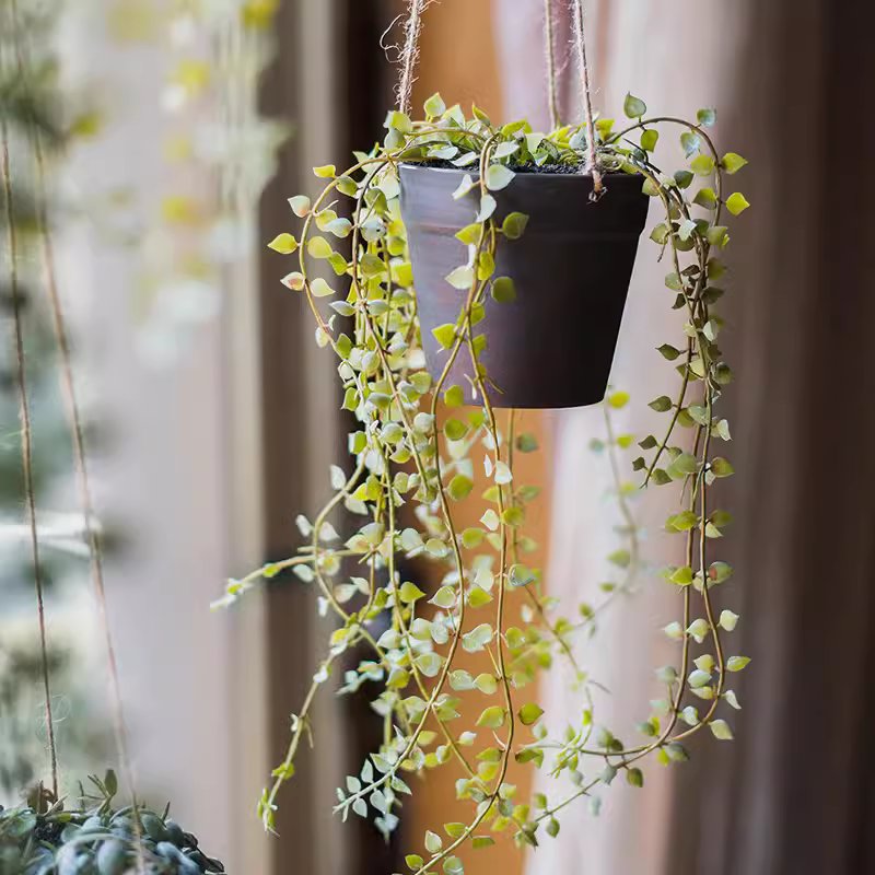 Hanging Faux Ceropegia Vine in a black pot, showcasing lush green leaves and a decorative rope for hanging.