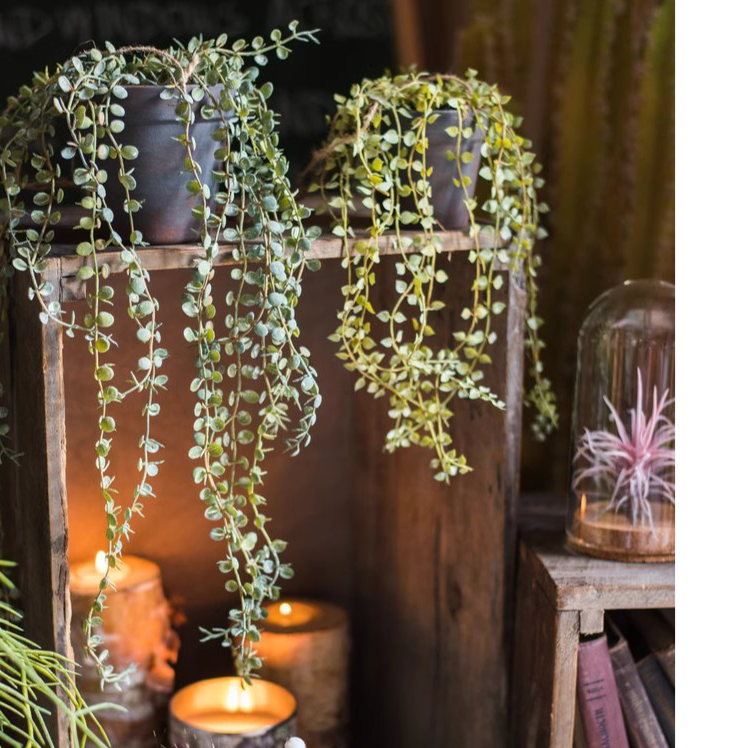 Hanging Faux Ceropegia Vine in a black pot, showcasing lush green leaves and a decorative rope for hanging.