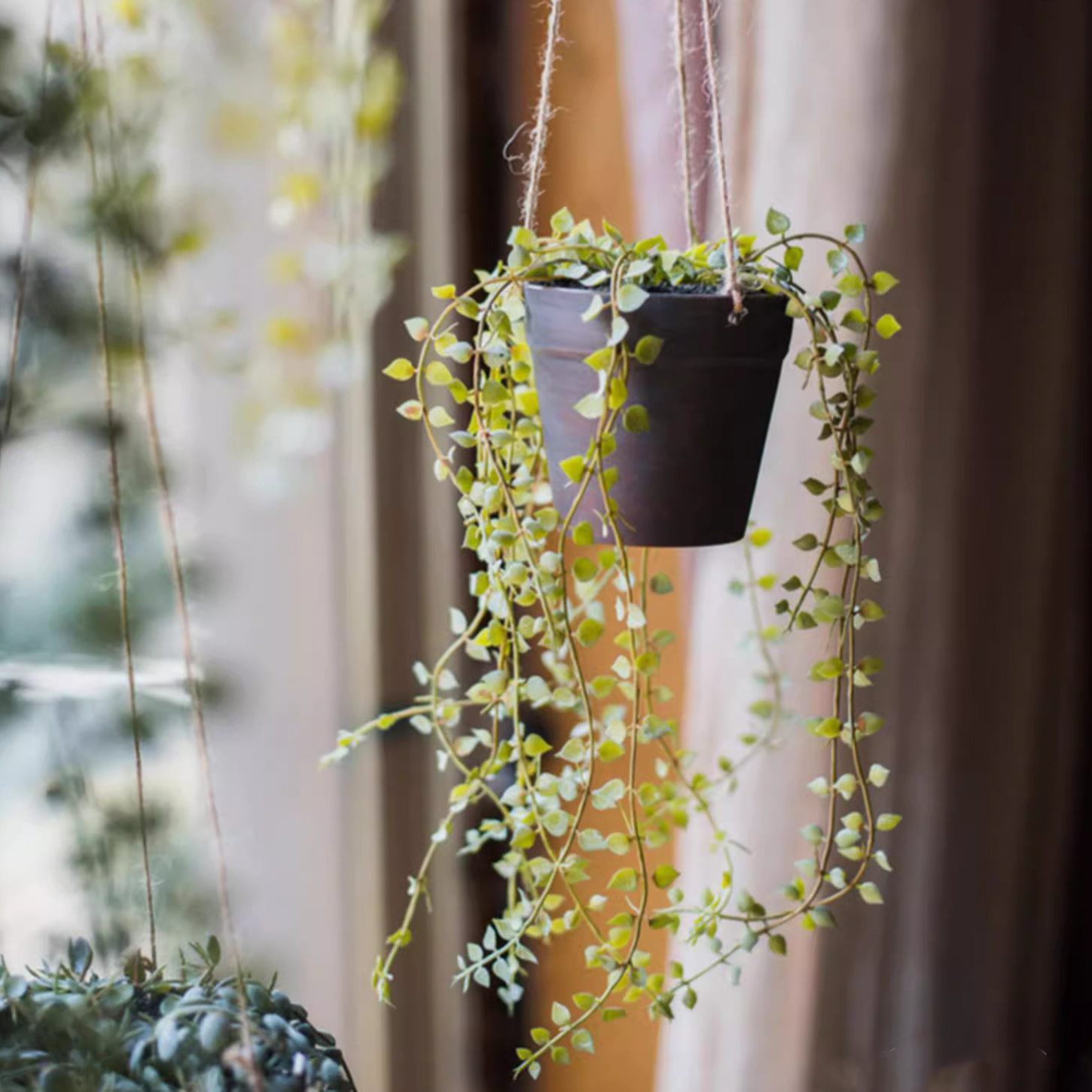 Hanging Faux Ceropegia Vine in a black pot, showcasing lush green leaves and a decorative rope for hanging.