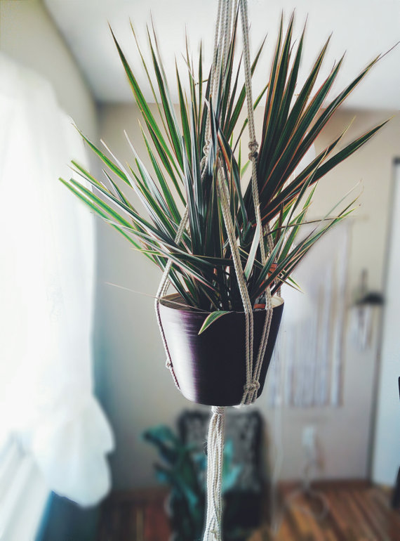 A beautifully crafted macrame plant hanger made from 100% natural cotton rope, showcasing a stylish design with tassels, perfect for indoor plants.