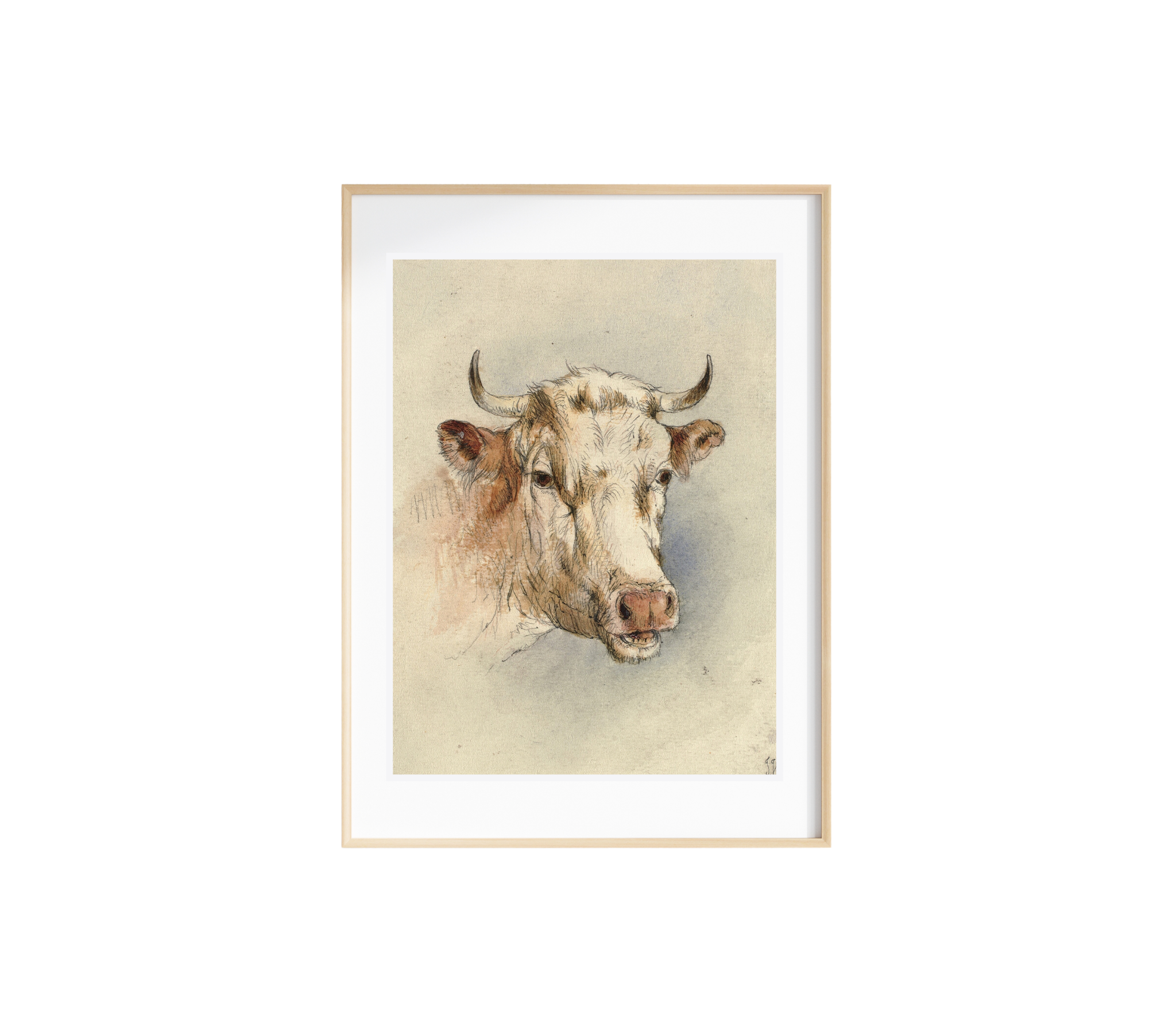 A vibrant canvas art print featuring the head of a bull, showcasing rich colors and intricate details, perfect for home decor.