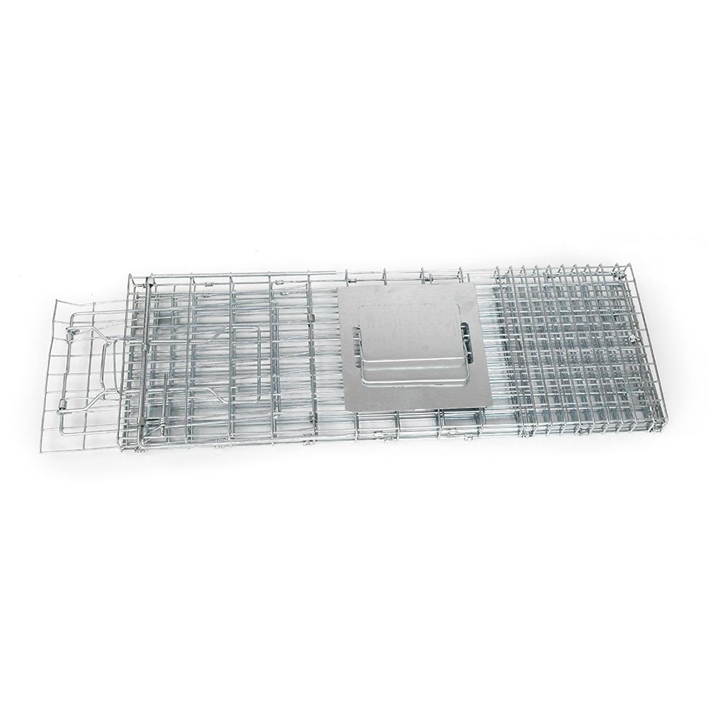 Large silver humane animal trap cage made of rust-resistant galvanised iron wire, featuring a spring-loaded door and automatic locking system.