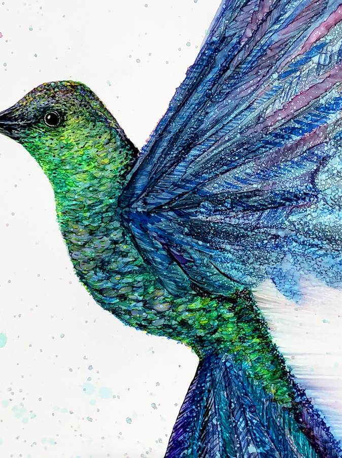 A beautifully designed greeting card featuring a graceful hummingbird in flight, created with alcohol inks, showcasing vibrant colors and intricate details.