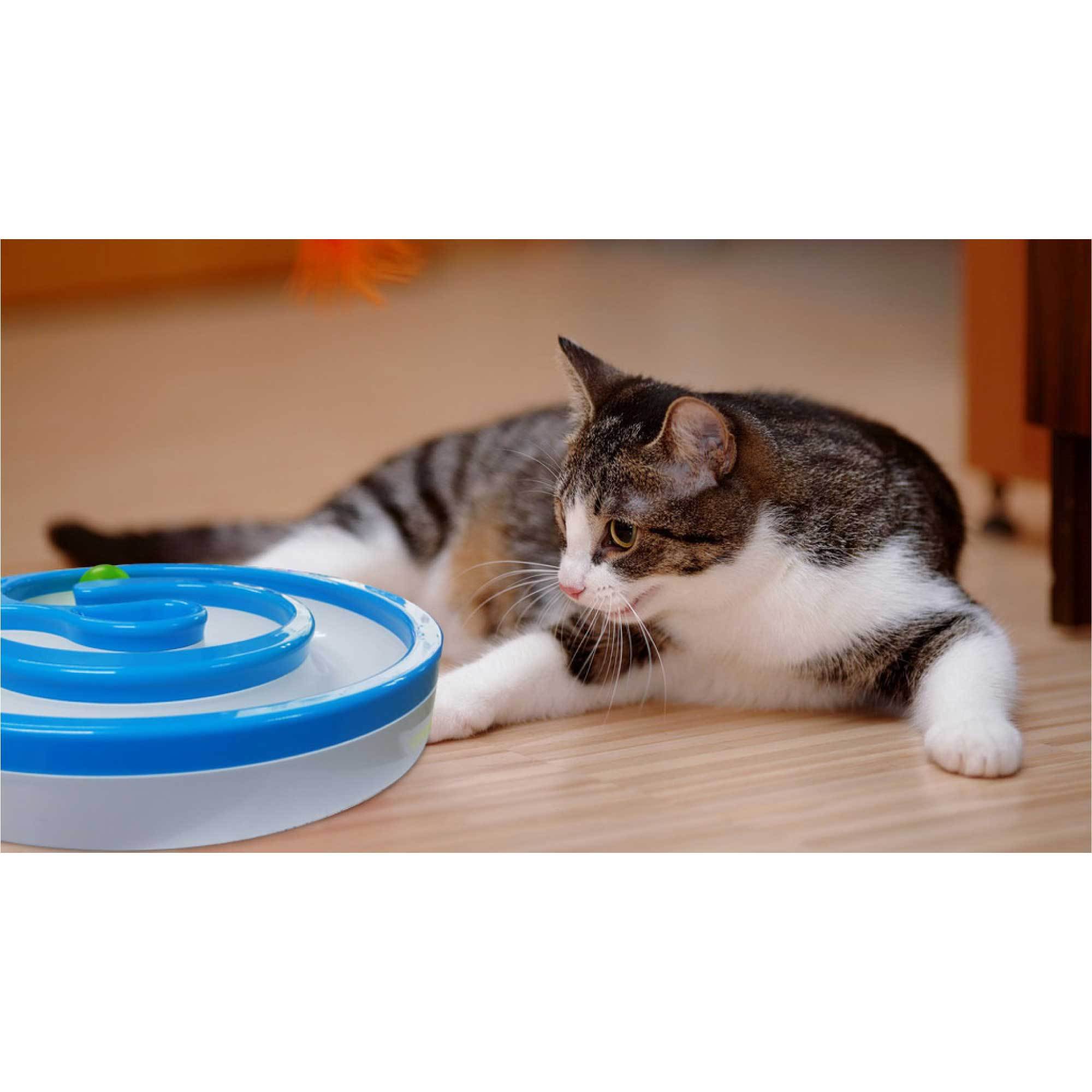 Interactive Cat Track Circle featuring LED sound and light rolling ball, designed for engaging cat playtime.