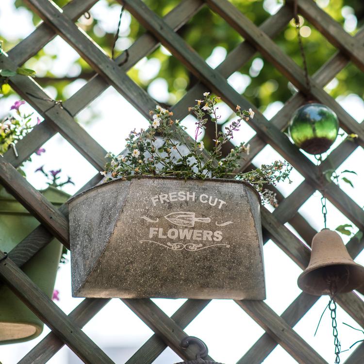 Iron Flower Wall Planter in gray with white letters, showcasing a stylish design for indoor and outdoor use.