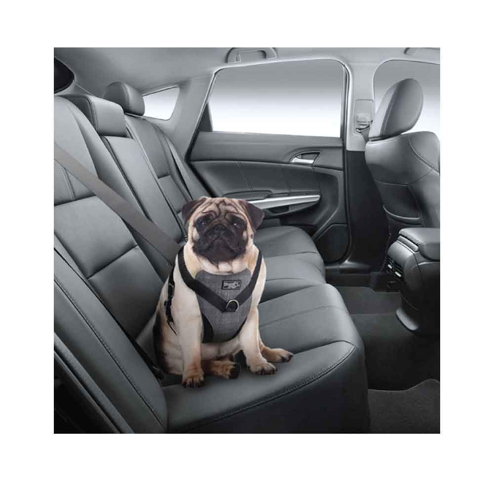 L Dog Harness 2 in 1 Combo featuring padded chest pad, adjustable straps, and detachable seatbelt loop for safe car travel and comfortable walks.