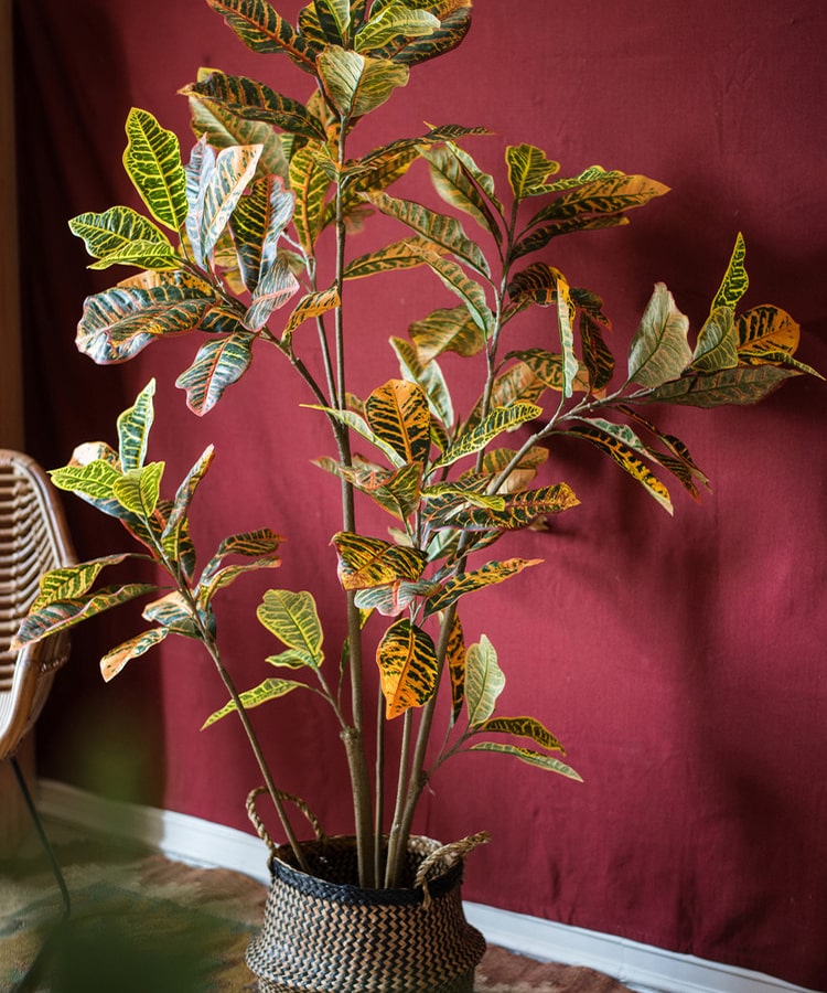 Large Leaf Artificial Croton Tree in Pot with vibrant green, yellow, and brown leaves, showcasing realistic details and a sturdy base.