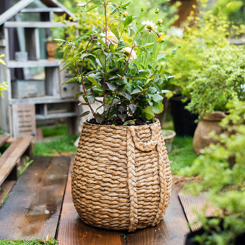 Large Rope Basket Cement Planter with realistic braided rope texture, perfect for indoor and outdoor plants.