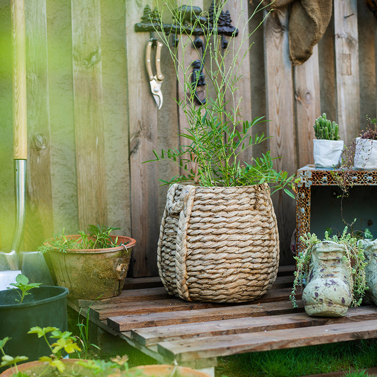 Large Rope Basket Cement Planter with realistic braided rope texture, perfect for indoor and outdoor plants.