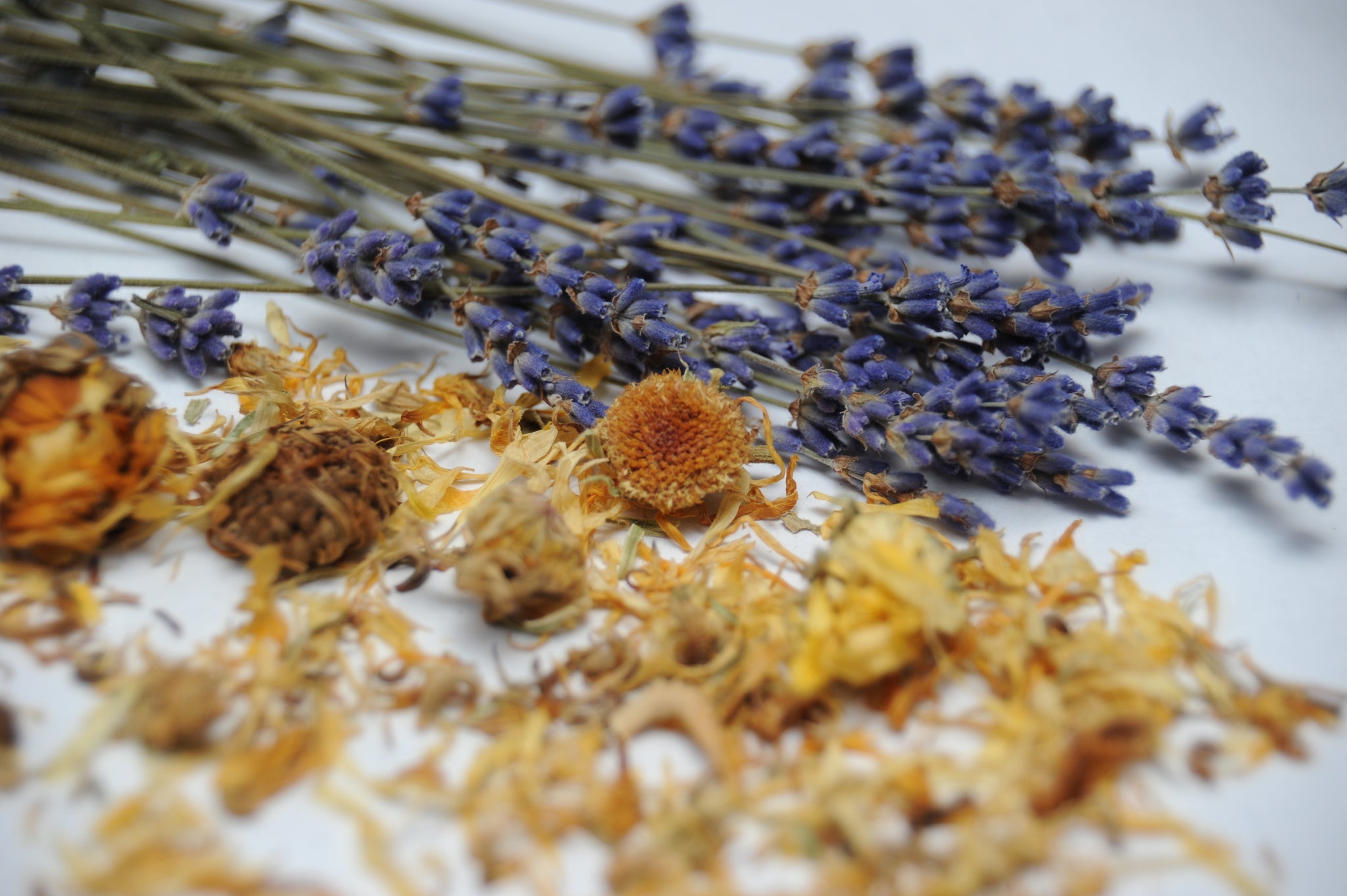 Lavender Botanical Wax Sachet in a decorative paraffin wax encasement, showcasing lavender flowers and essential oil.