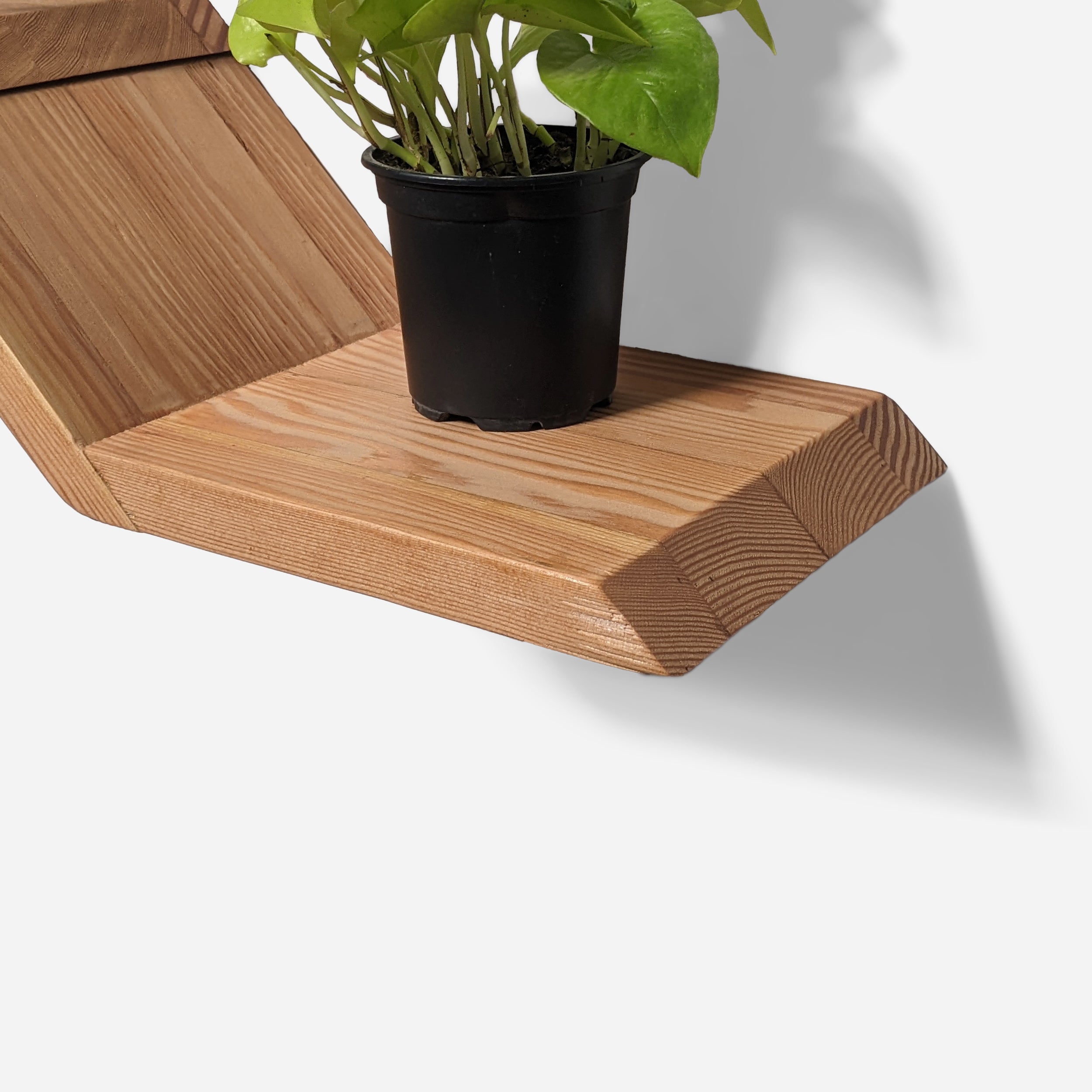 A stylish Lean Shelf mounted on a wall, showcasing plants and decorative items in a modern setting.