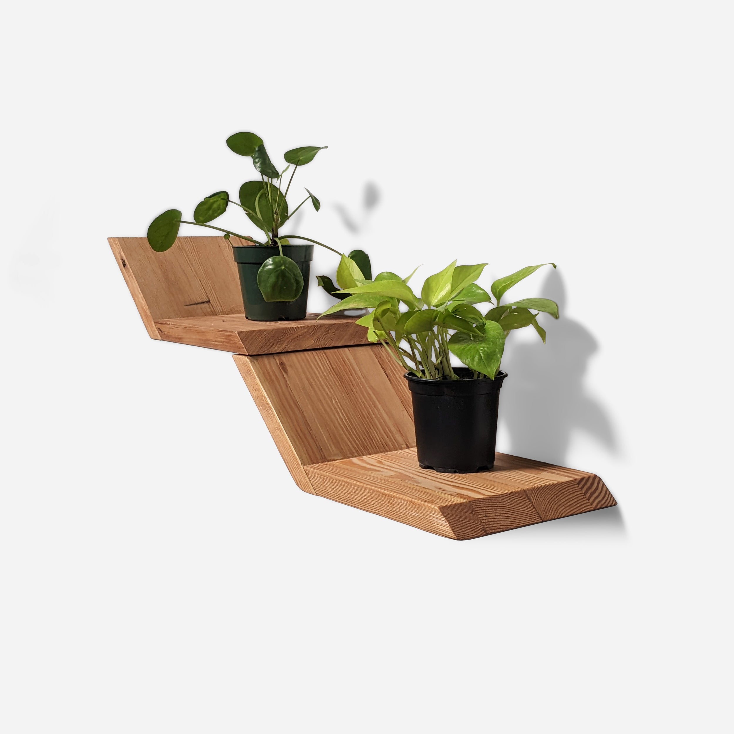 A stylish Lean Shelf mounted on a wall, showcasing plants and decorative items in a modern setting.