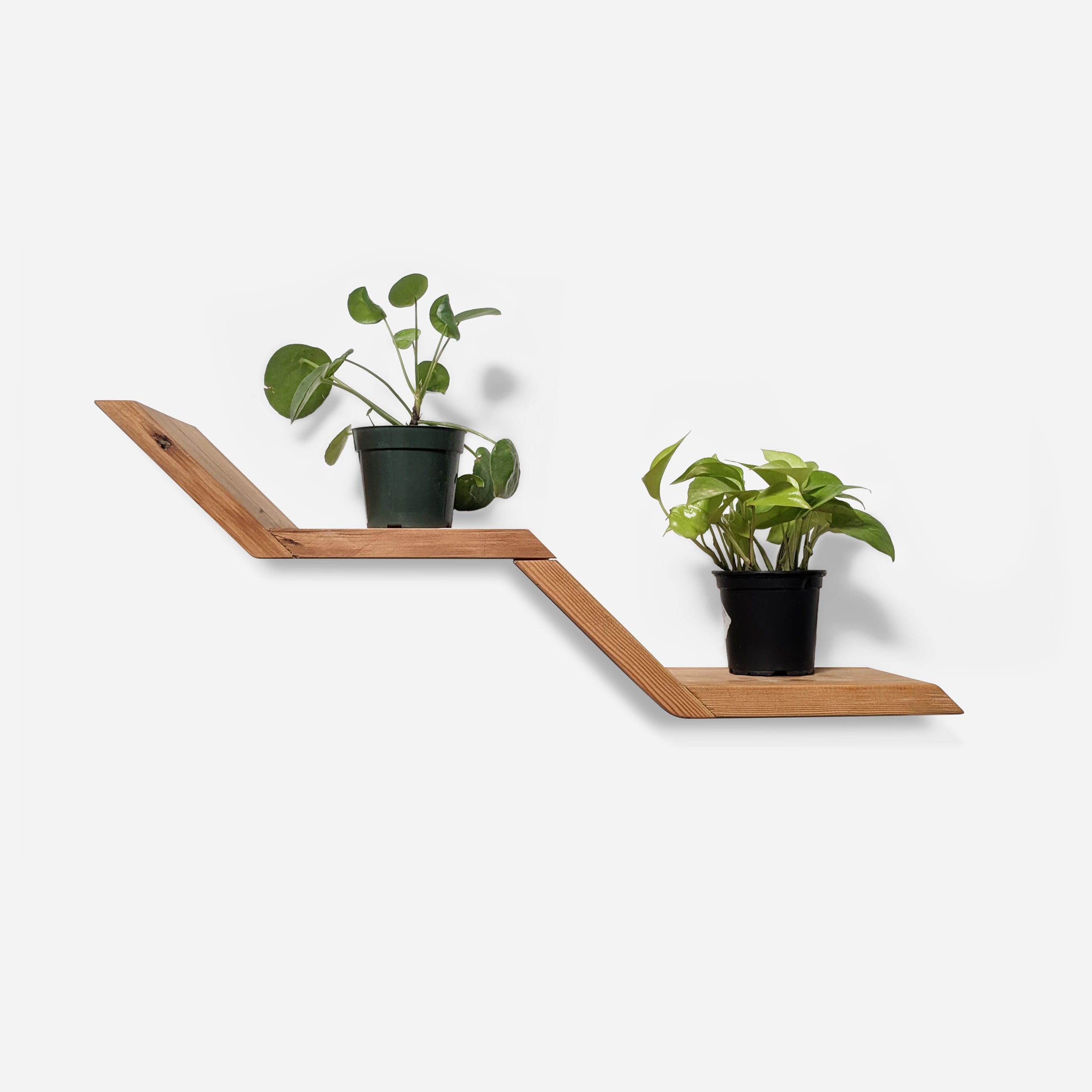 A stylish Lean Shelf mounted on a wall, showcasing plants and decorative items in a modern setting.