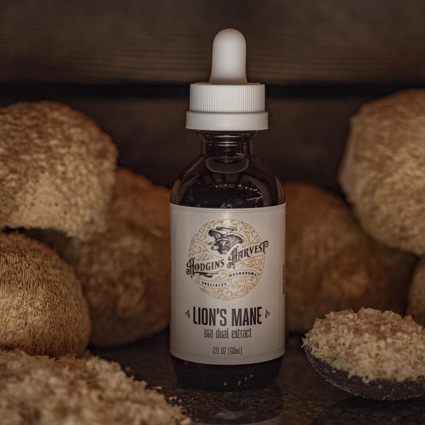 A bottle of Lion's Mane Dual Extract Tincture with a dropper, showcasing its organic ingredients and health benefits.