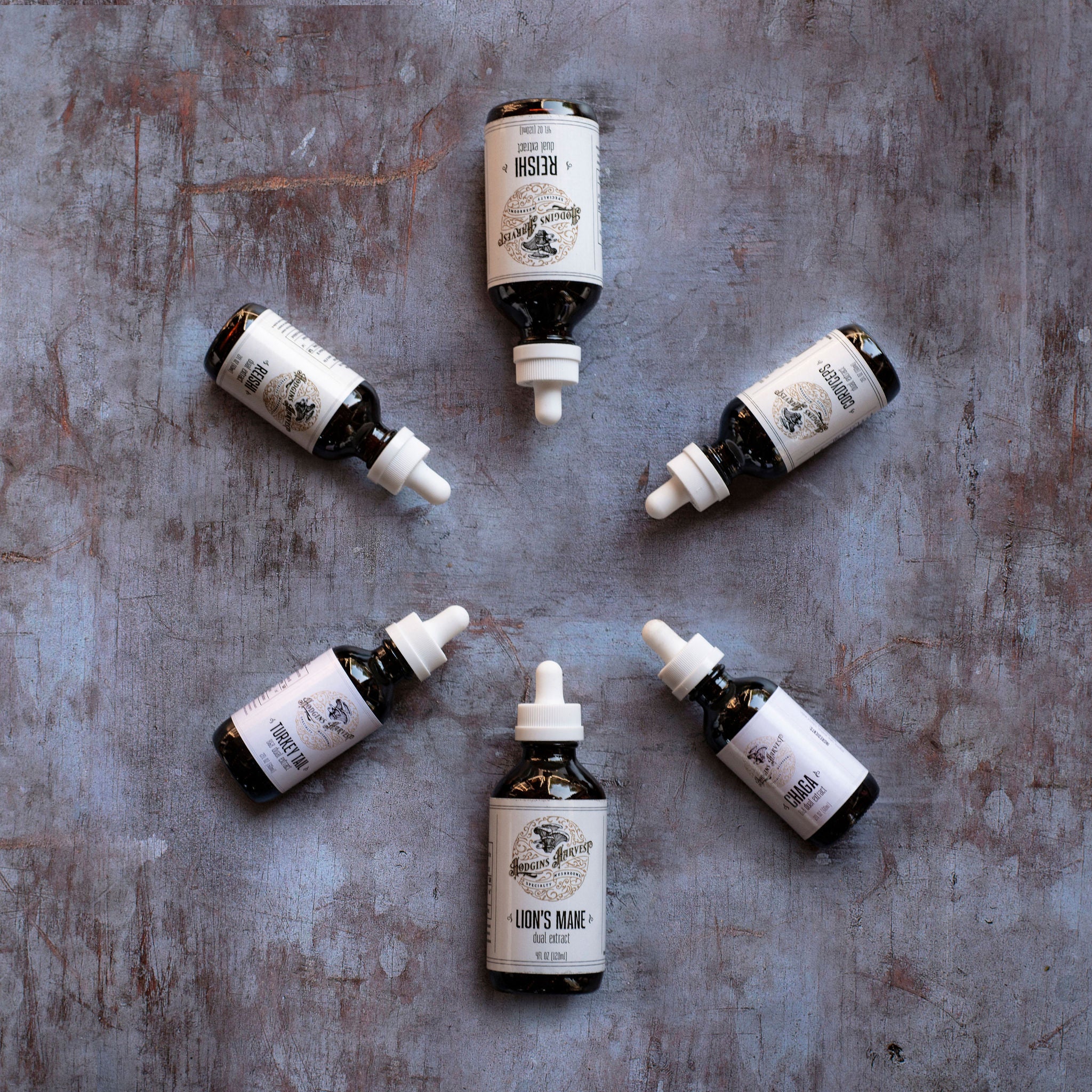 A 4 fl oz bottle of Lion's Mane + Reishi Dual Extract Tincture with a dropper, showcasing its natural ingredients.