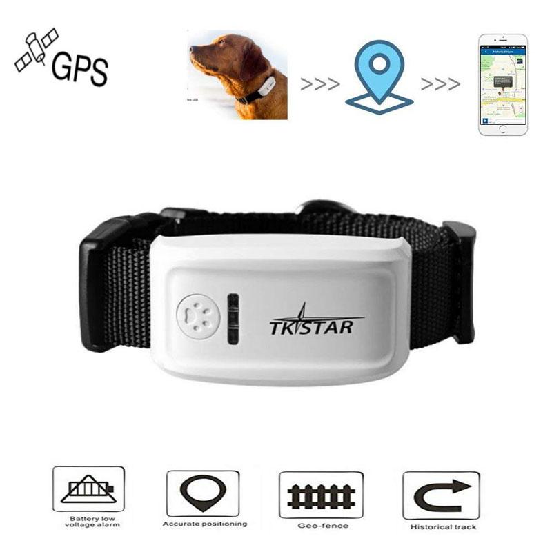 Long Standby Time TK909 GPS Tracker for pets, featuring a compact design and LED indicators for tracking cats and dogs.