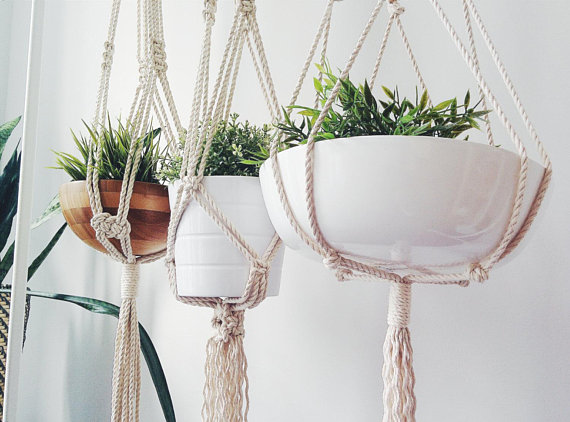 A stylish macrame plant hanger made from natural cotton rope, showcasing a beautiful plant suspended in the air with intricate knot designs.