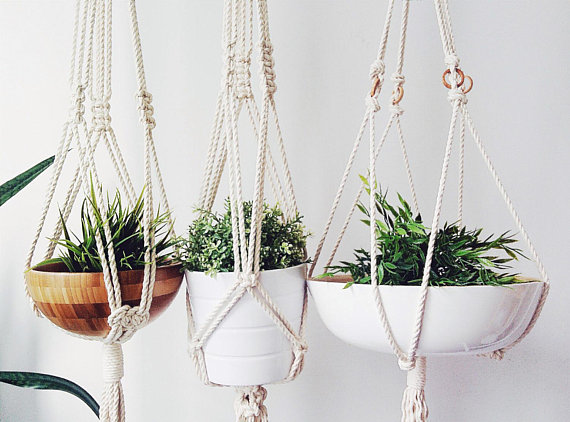 A stylish macrame plant hanger made from natural cotton rope, showcasing a beautiful plant suspended in the air with intricate knot designs.