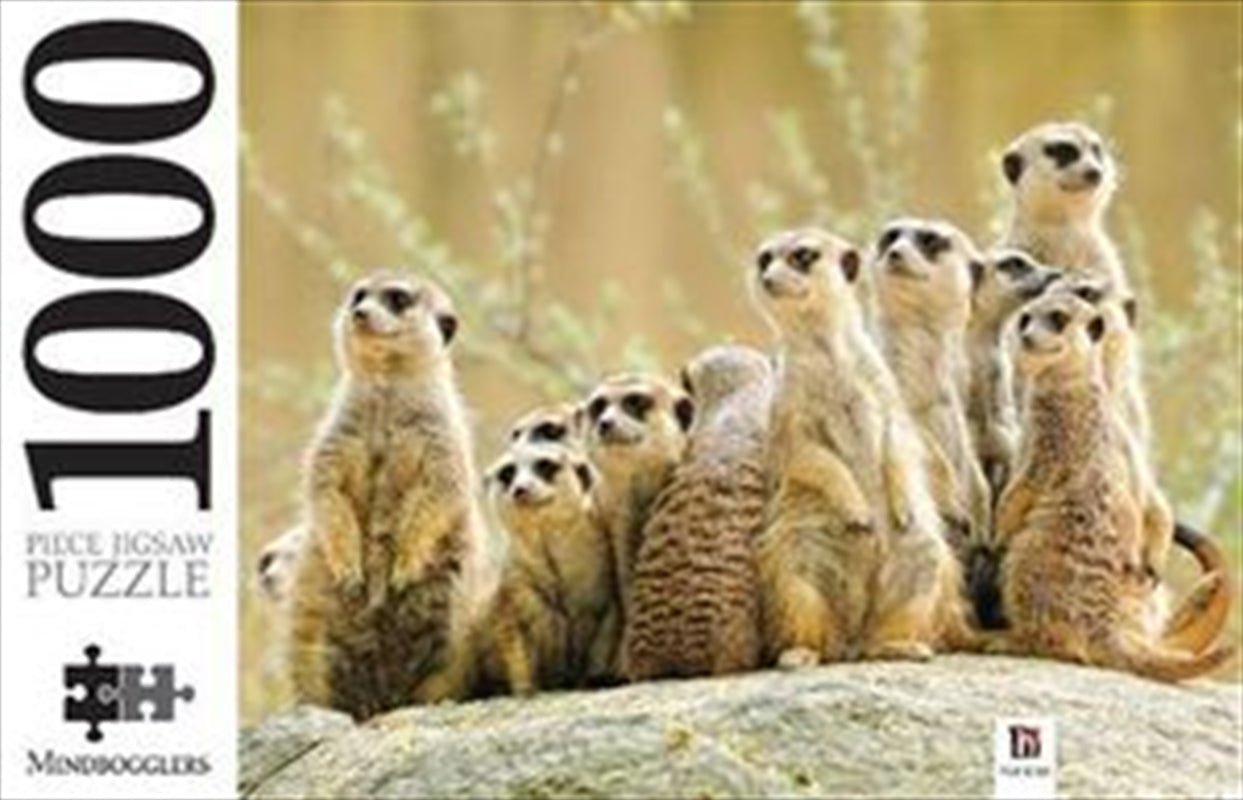 A beautifully illustrated 1000 piece jigsaw puzzle featuring a meerkat family in their natural habitat.