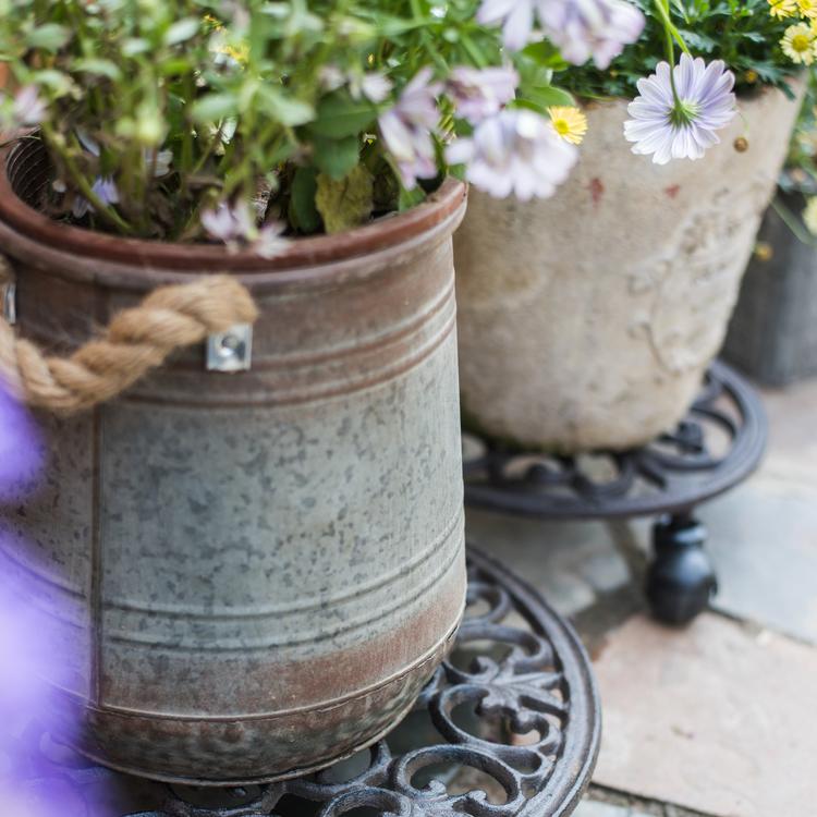 Metal flower pail with rope handles in gray and rusty colors, perfect for decorative floral arrangements.