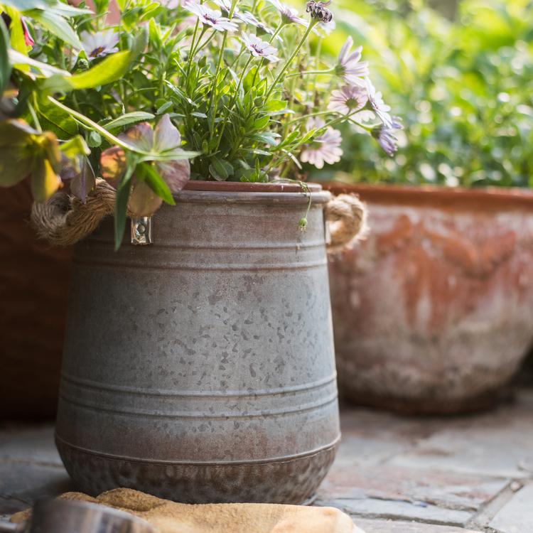 Metal flower pail with rope handles in gray and rusty colors, perfect for decorative floral arrangements.