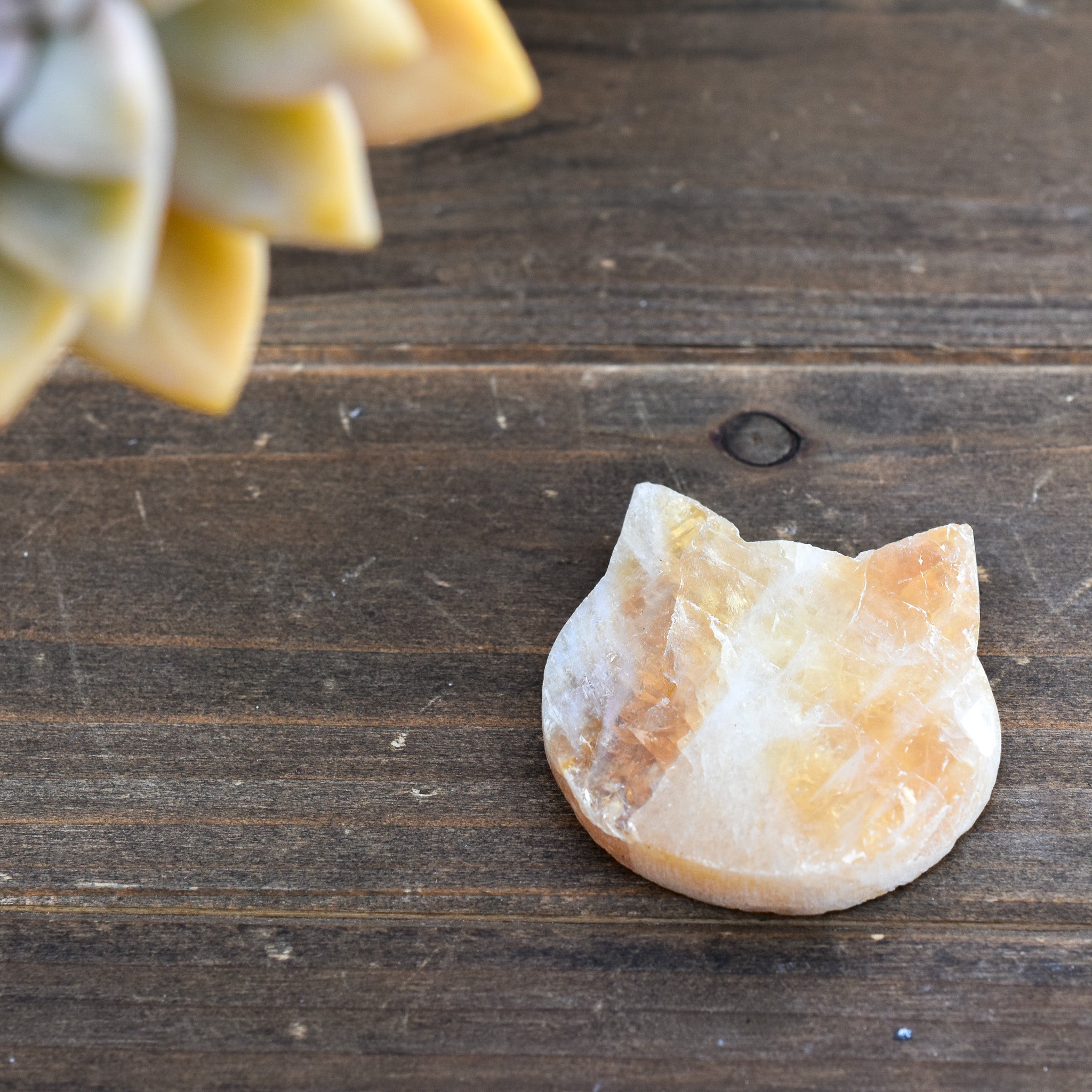 A collection of Mini Crystal Cat Heads made from Rose Quartz, Amethyst, Citrine, and Pink Amethyst, showcasing their unique colors and handcrafted details.