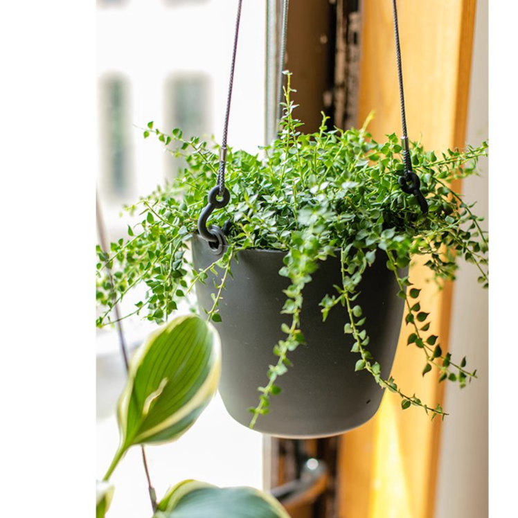 Modern resin hanging planter in black, light gray, and white, featuring a nylon rope and metal hook, designed for artificial plants.