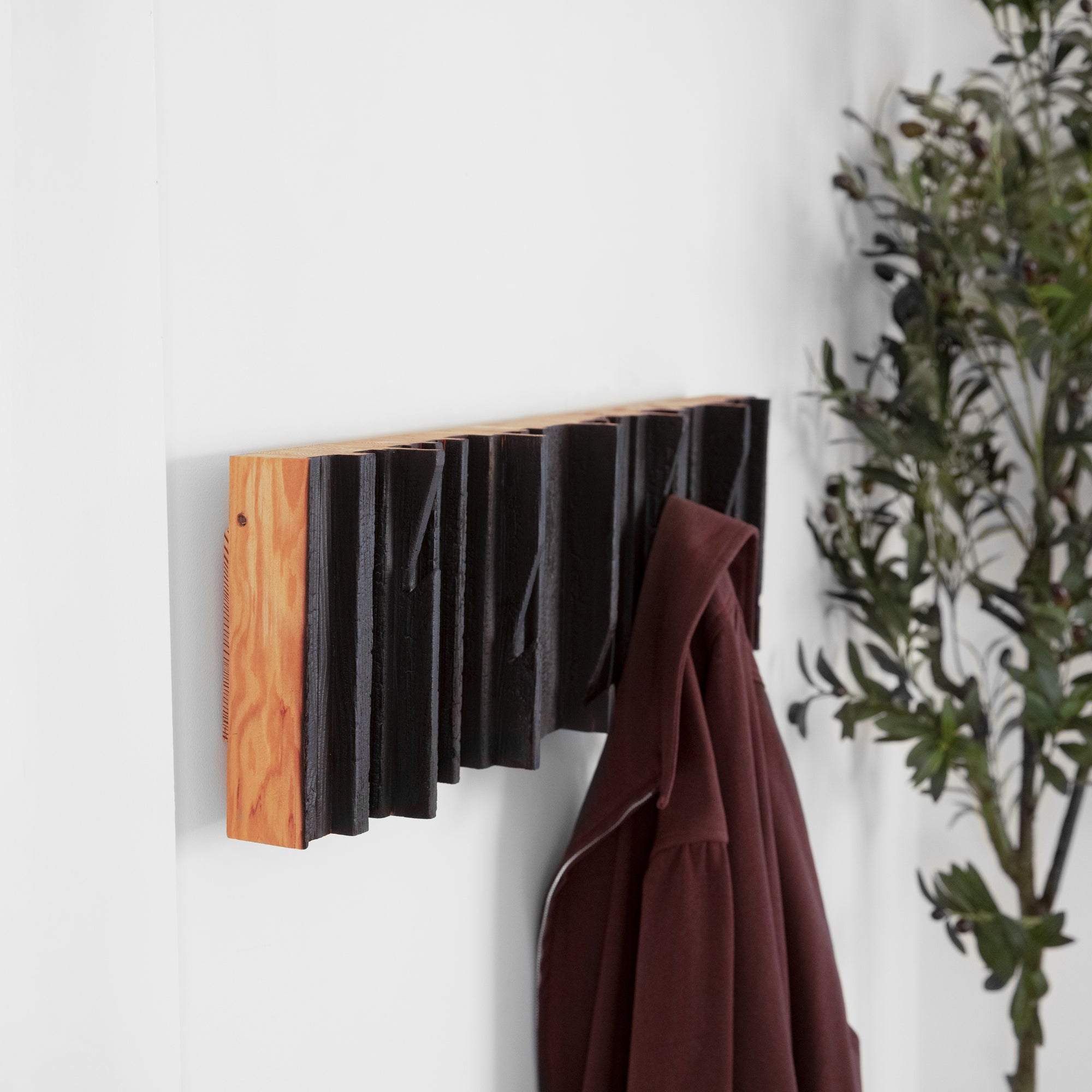 Mr. Hook coat rack featuring unique wood design with brass hooks, showcasing torched black and natural wood finish.