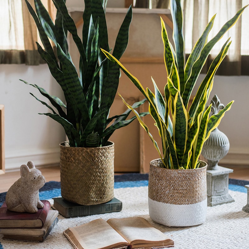 Natural Straw Basket in various colors, showcasing its elegant design and lightweight structure, perfect for home organization.