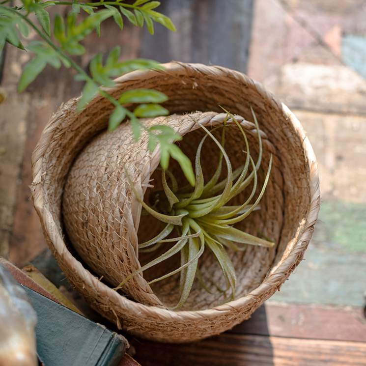 Natural Straw Desktop Flower Basket in khaki/brown color, showcasing its round shape and woven texture, ideal for flowers or desk organization.