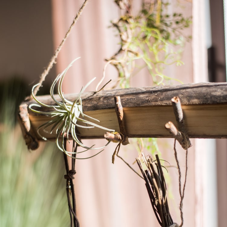 Natural Wood Wall Hook made from birch wood with hemp rope, showcasing a khaki and natural color finish.