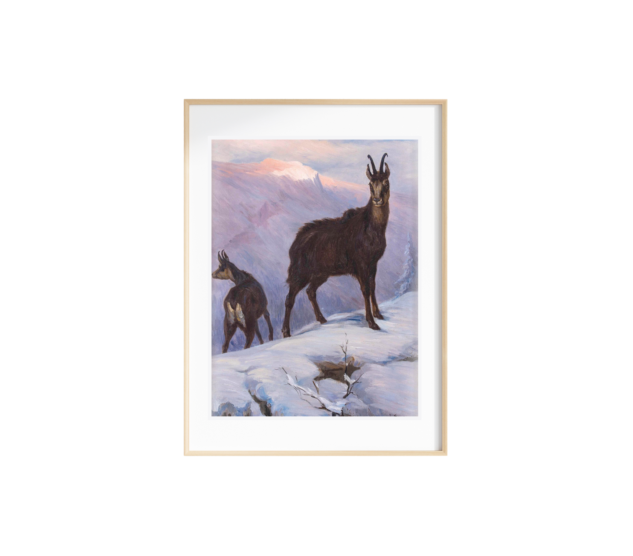 A vibrant New Zealand Chamois landscape art print on textured canvas, showcasing rich colors and stunning detail.