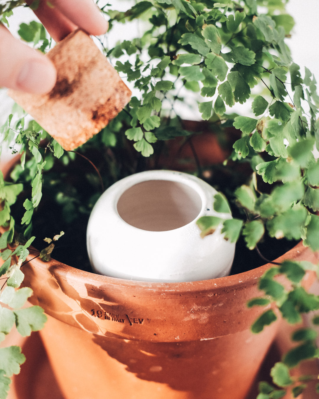 Olla de Auto Riego Verde Pastel de terracota, ideal para el riego eficiente de plantas.