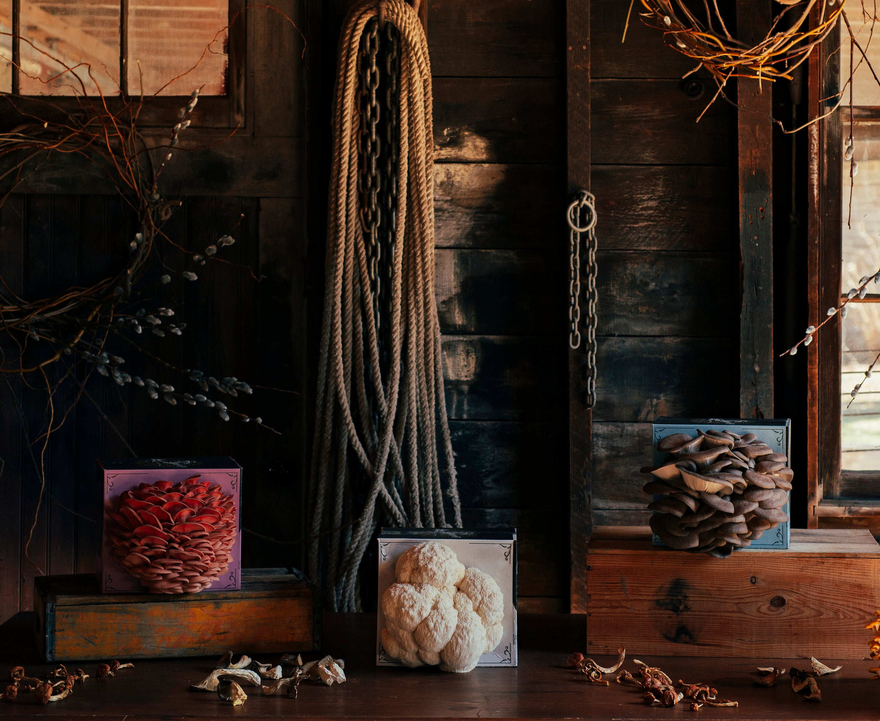 Decorative dried flowers and ropes.