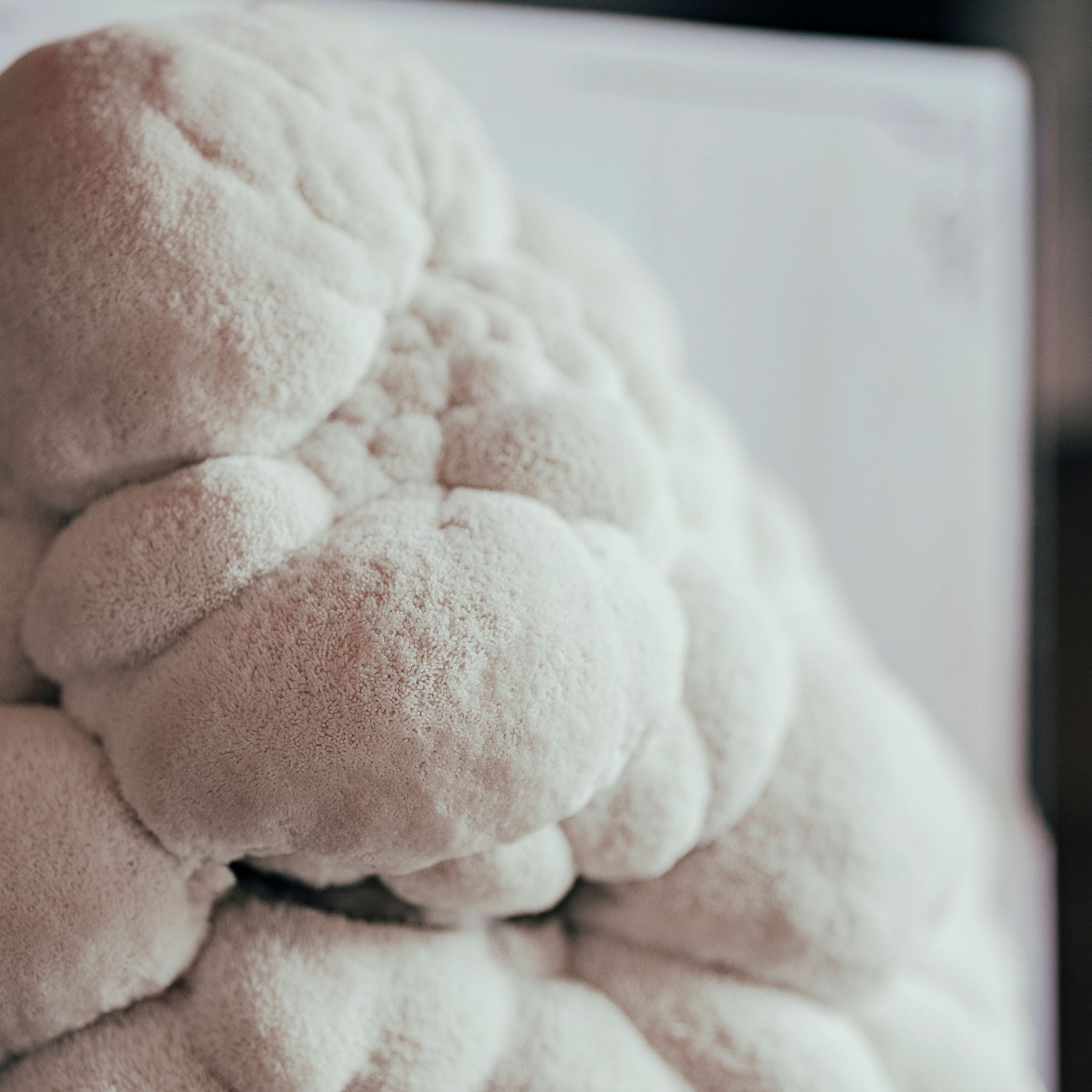 Close-up of white cauliflower.