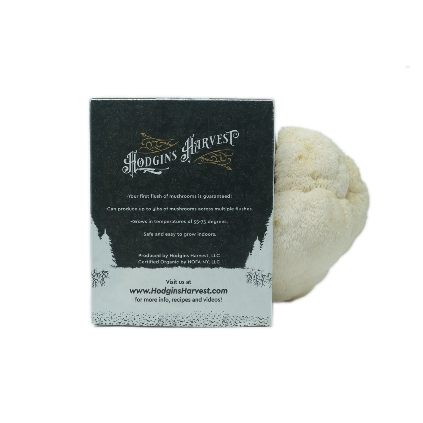 Hodgins Harvest mushroom grow kit.