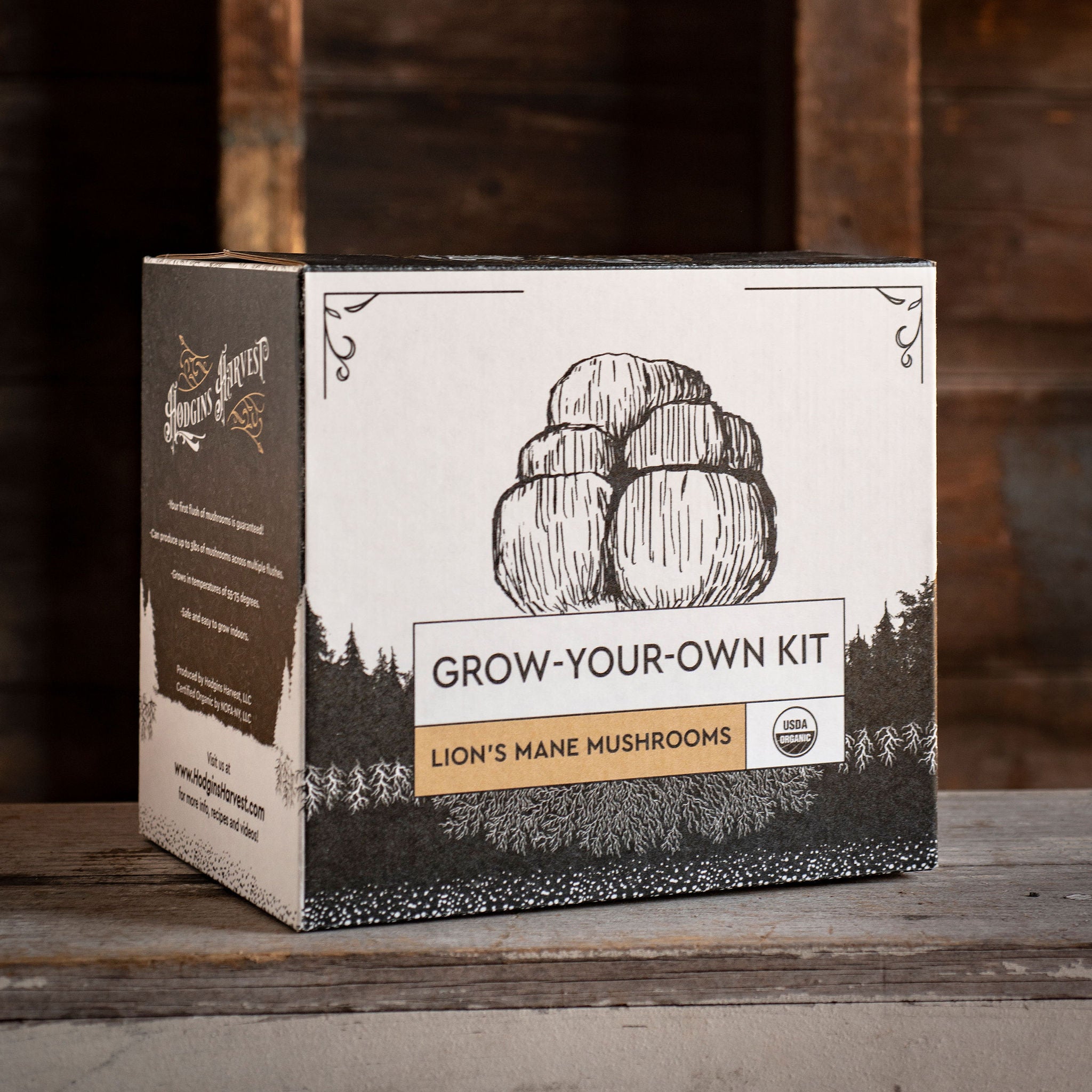 Grow-your-own Lion's Mane kit.