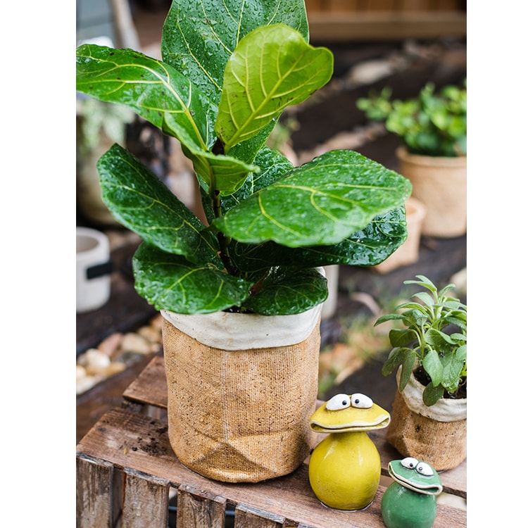 Paper Bag Style Concrete Garden Pot in khaki color, showcasing its unique design and drainage hole.