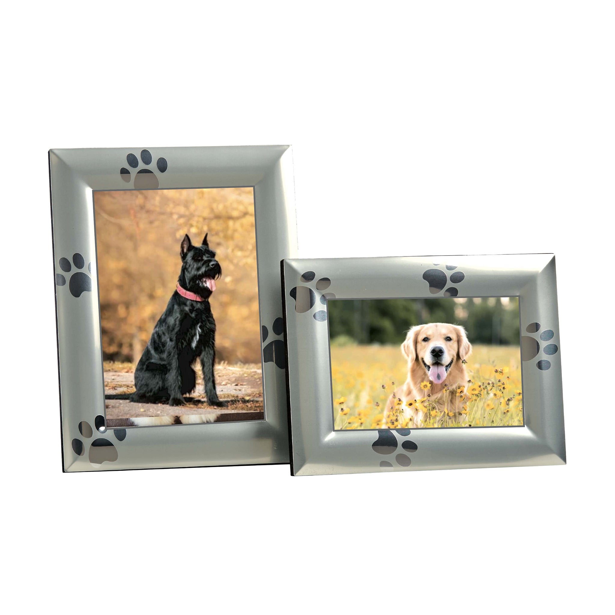 Paw Print Design Frame - 4x6 with brushed metal border and polished paw prints, displaying a pet photo.