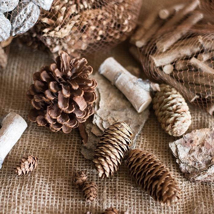 A collection of natural pine cones and wood pieces in various shapes and sizes, perfect for holiday decoration.