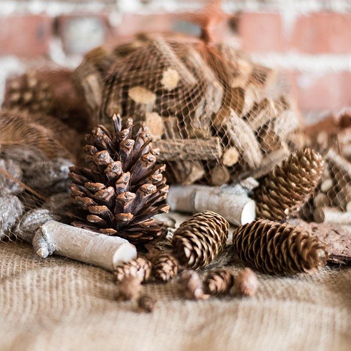 A collection of natural pine cones and wood pieces in various shapes and sizes, perfect for holiday decoration.