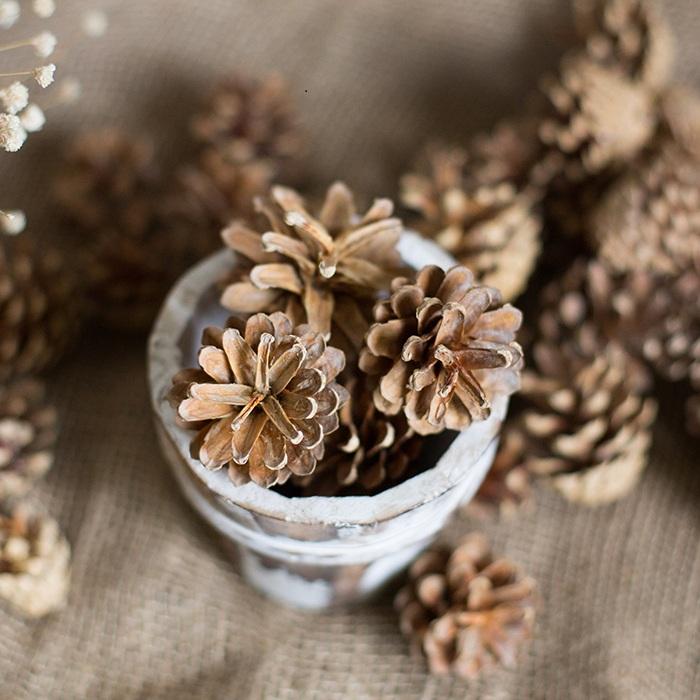 A collection of natural pine cones and wood pieces in various shapes and sizes, perfect for holiday decoration.