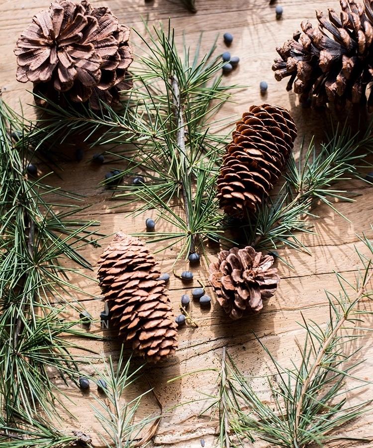 A collection of natural pine cones and wood pieces in various shapes and sizes, perfect for holiday decoration.