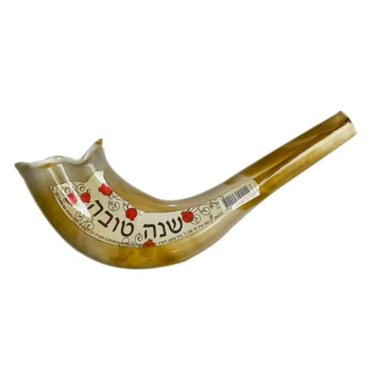 A colorful Pomegranate Shofar designed for children, featuring red pomegranates and black text saying 'Shana Tova'.