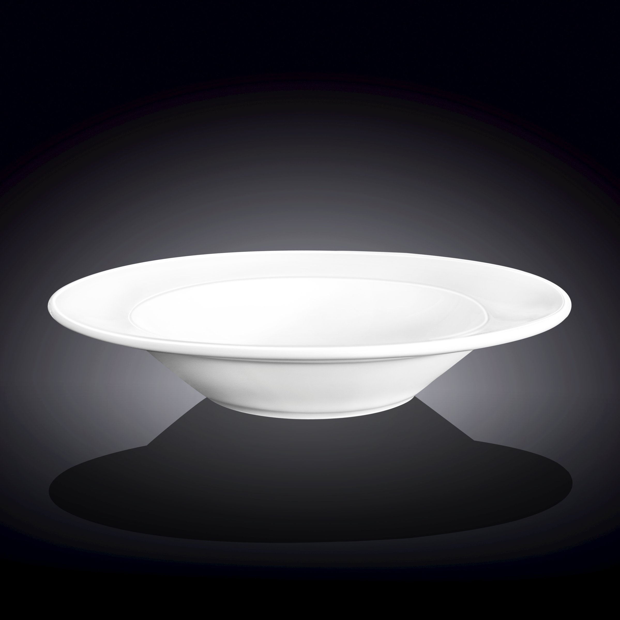 Professional Rolled Rim White Deep Plate, 10 inches, elegant porcelain design for serving soups and stews.