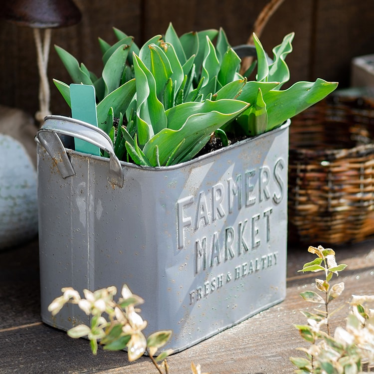 Rectangular gray flower pot made of iron, featuring a rustic design, perfect for decorative use in gardens or homes.