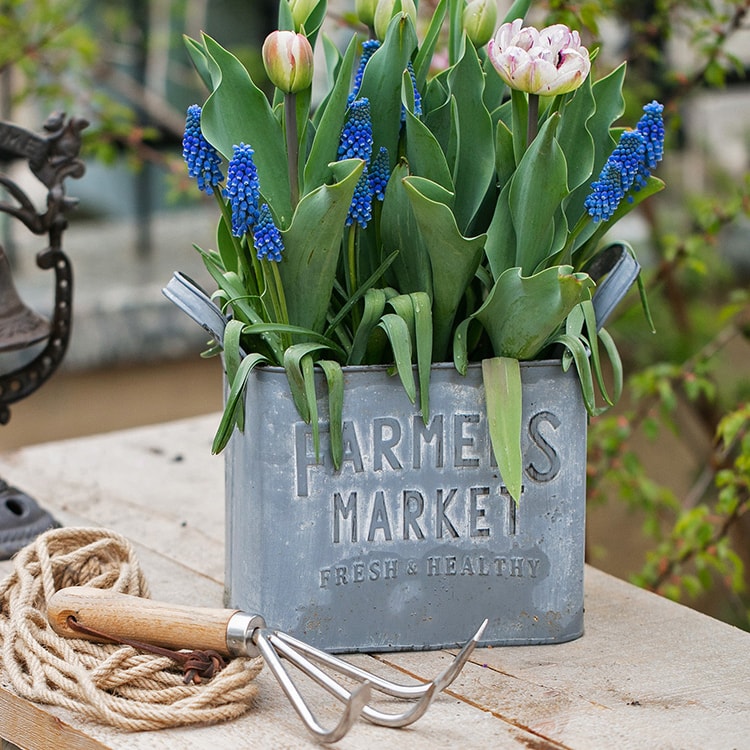 Rectangular gray flower pot made of iron, featuring a rustic design, perfect for decorative use in gardens or homes.