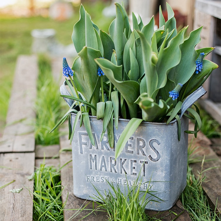 Rectangular gray flower pot made of iron, featuring a rustic design, perfect for decorative use in gardens or homes.