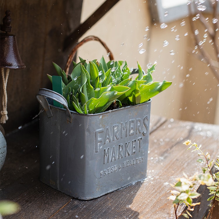 Rectangular gray flower pot made of iron, featuring a rustic design, perfect for decorative use in gardens or homes.